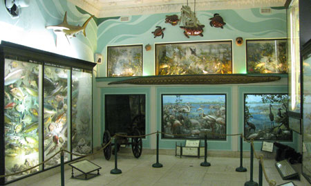 Long Island Museum Exhibits