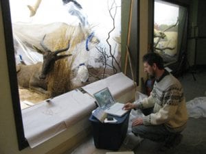 Sean Murtha reviews movie film of the African grasslands shot in the late 1960s Sean Murtha reviews movie film of the African grasslands shot in the late 1960s by the Stolls during the safari when they hunted the animals on display