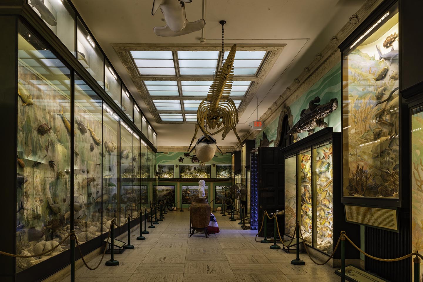 The Hall of Fishes