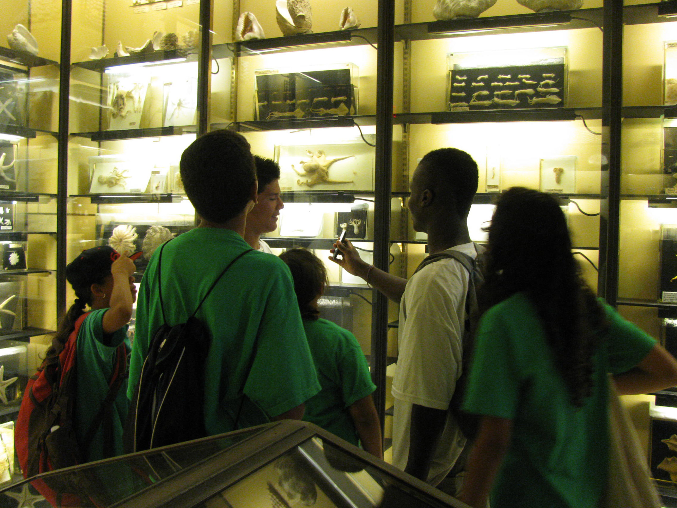 Fun activities for kids at the Vanderbilt Planetarium