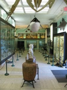 Vanderbilt Marine Museum, first floor Vanderbilt Marine Museum, first floor
