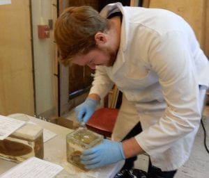 Brandon Williams removes the silicone seal from a marine specimen container Vanderbilt Museum photos Brandon Williams removes the silicone seal from a marine specimen container
