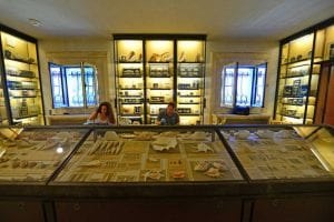 Newsday photo by Thomas A. Ferrara Amanda Jensen and Brandon Williams restore Vanderbilt marine specimens
