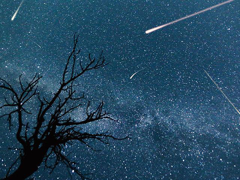 Meteor Shower - The Perseids