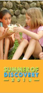 Summer of Discovery 2018