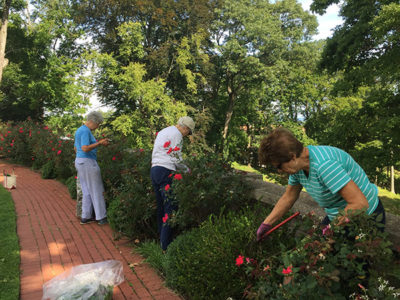 Volunteer gardeners beautify the Vanderbilt Estate