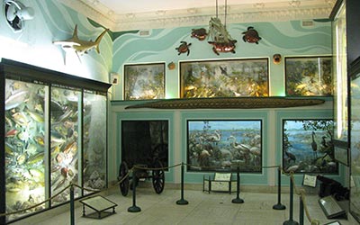 vanderbilt museum