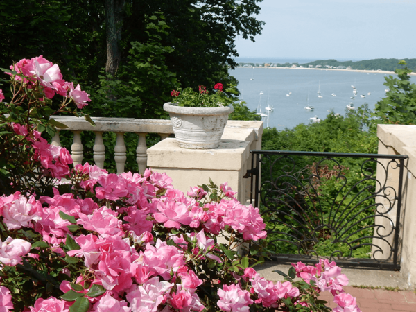 Flowers at the Vanderbilt