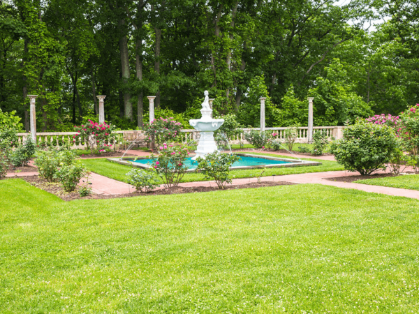 Vanderbilt Rose Garden