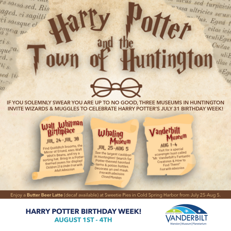 Harry Potter Birthday Celebration