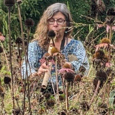 CEED FB and Sound (2)Linda 2