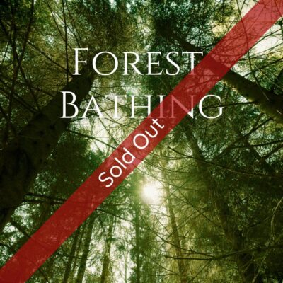 Sold Out Forest Bathing V3