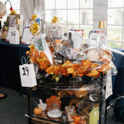 2026 Benefit at the Vanderbilt Museum